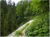 Koča pri Savici - The lake Rjavo jezero